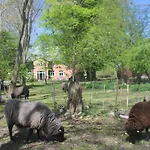 Schaeferwagen Auf Dem Biogut-saalkow *