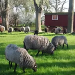 Schaeferwagen Auf Dem Biogut-saalkow *