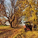 Schaeferwagen Auf Dem Naturgut-Saalkow Gustow (Vorpommern-Rugen)