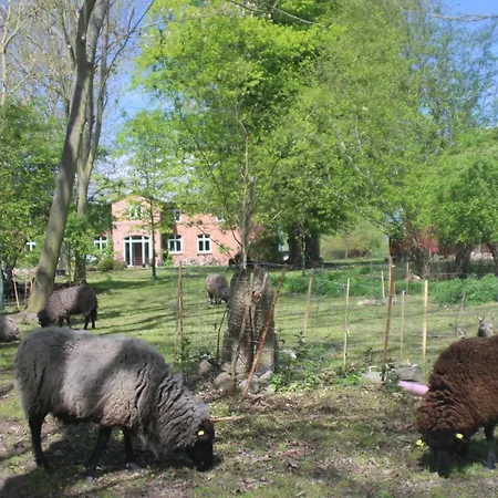Schaeferwagen Auf Dem Biogut-saalkow *