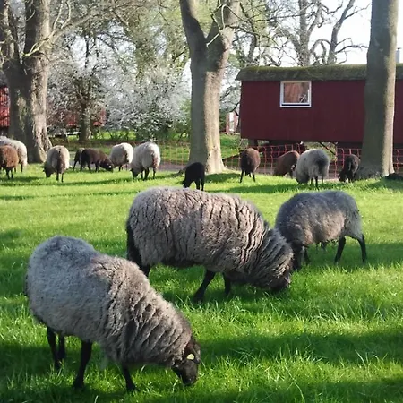 Schaeferwagen Auf Dem Biogut-saalkow *
