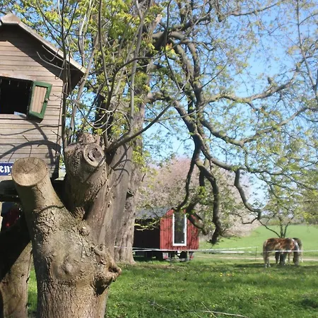 Schaeferwagen Auf Dem Biogut-saalkow Camping *