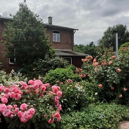 Schaeferwagen Auf Dem Biogut-saalkow