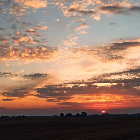 Schaeferwagen Auf Dem Biogut-saalkow