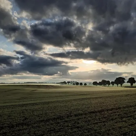 Schaeferwagen Auf Dem Biogut-saalkow *