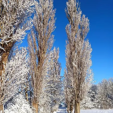 Schaeferwagen Auf Dem Biogut-saalkow * Gustow (Vorpommern-Rugen)