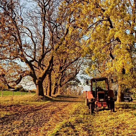 Schaeferwagen Auf Dem Naturgut-saalkow Gustow (Vorpommern-Rugen)