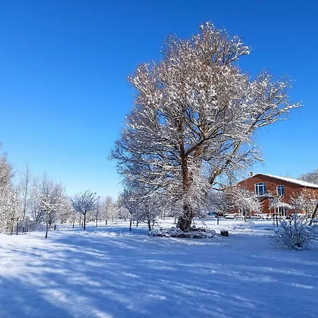 Camping Schaeferwagen Auf Dem Biogut-saalkow Gustow (Vorpommern-Rugen)