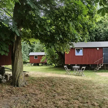 Schaeferwagen Auf Dem Biogut-saalkow Camping Gustow (Vorpommern-Rugen)