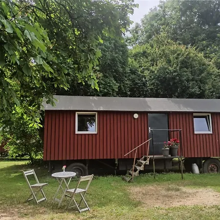 Schaeferwagen Auf Dem Biogut-saalkow Gustow (Vorpommern-Rugen)