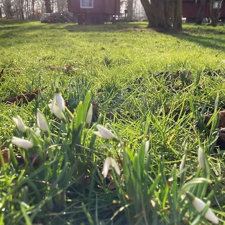 Camping Schaeferwagen Auf Dem Biogut-saalkow
