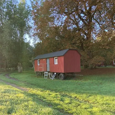 Schaeferwagen Auf Dem Biogut-saalkow