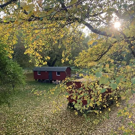 Schaeferwagen Auf Dem Biogut-saalkow Gustow (Vorpommern-Rugen)