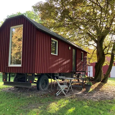 Schaeferwagen Auf Dem Naturgut-saalkow