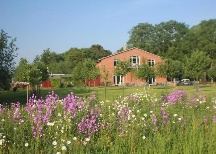 Schaeferwagen Auf Dem Biogut-saalkow *
