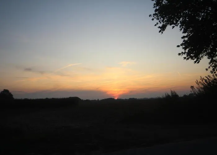 Schaeferwagen Auf Dem Biogut-saalkow