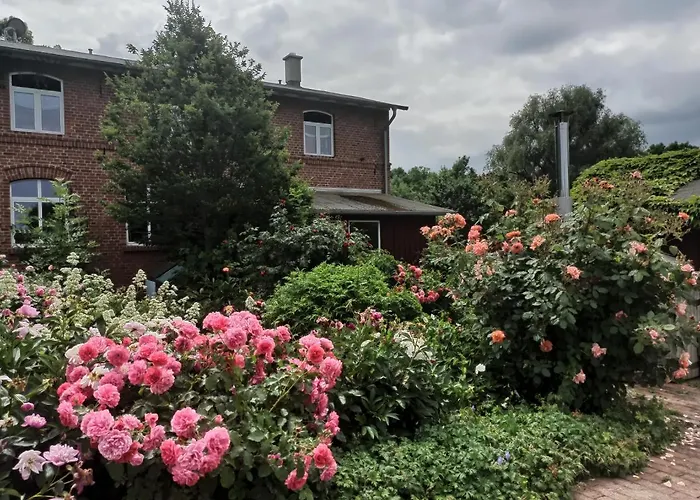 Schaeferwagen Auf Dem Biogut-saalkow